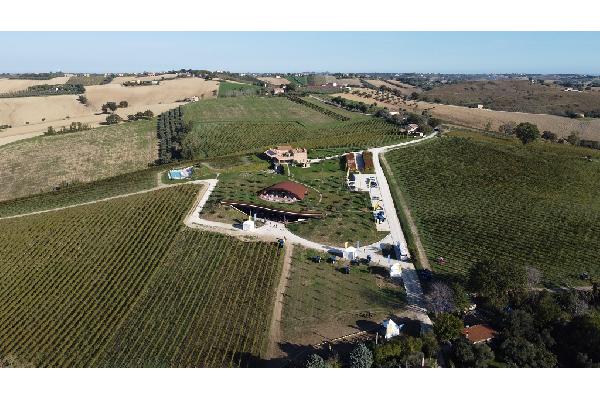 New Holland retoma su formación presencial a nivel europeo con los Specialty Days